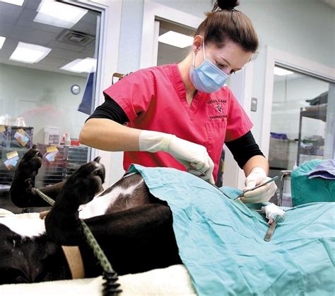 Animal birth control clinic - Animal hospitals offer general and emergency pet care services. Some animal hospitals offer 24 hour emergency services-call to confirm hours and availability. To learn more, or to make an appointment with Animal Birth Control (Abc) Clinic in Waco, TX, please call (254) 776-7303 for more information. 